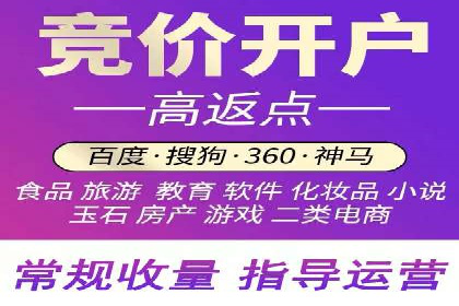竞价广告投放技巧与案例分析